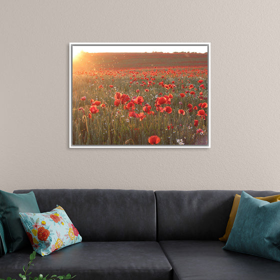 "Red Poppy Field 2"