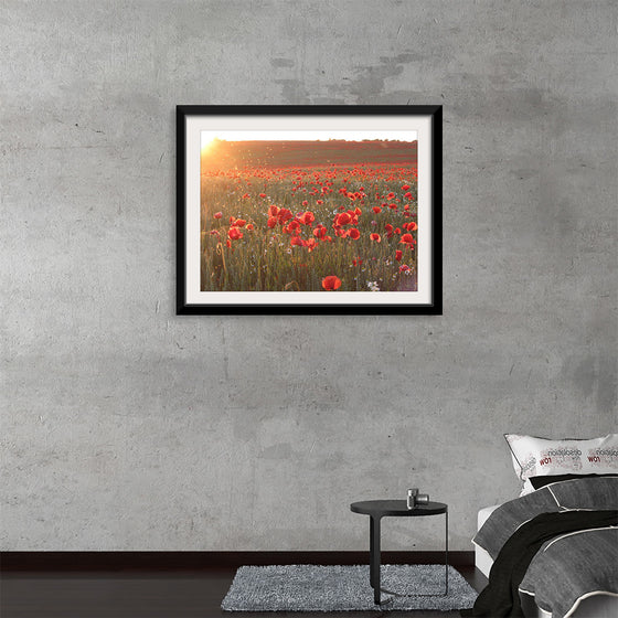 "Red Poppy Field 2"