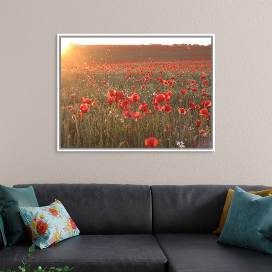 "Red Poppy Field 2"