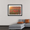 "Red Poppy Field 2"