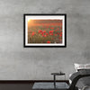 "Red Poppy Field 2"