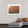 "Red Poppy Field 2"