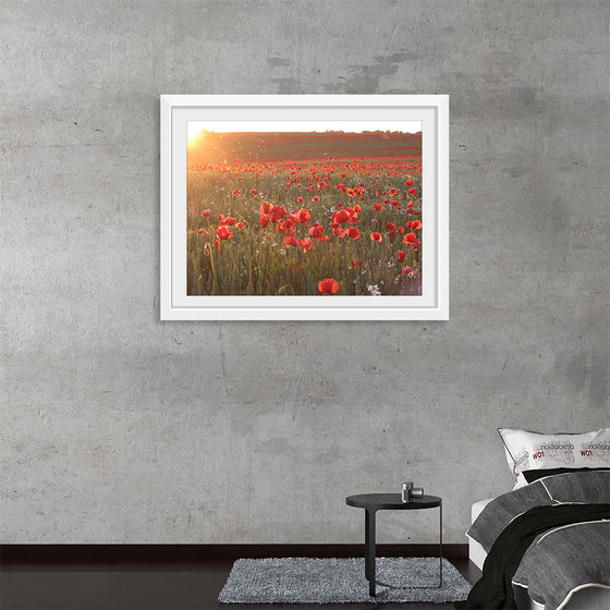 "Red Poppy Field 2"