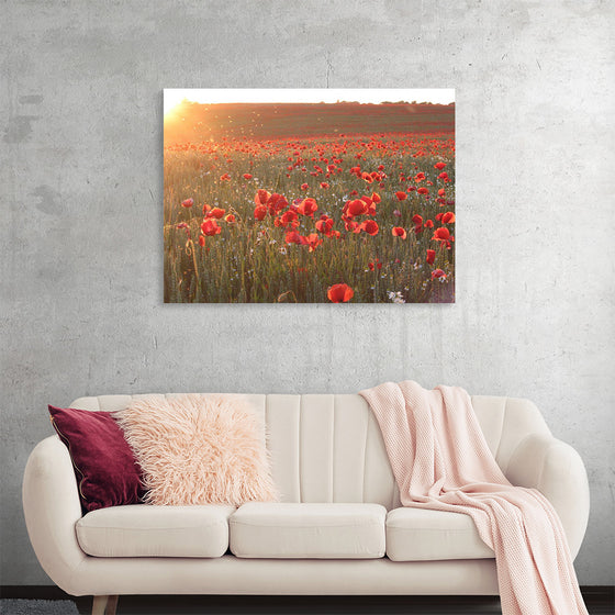 "Red Poppy Field 2"