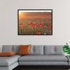 "Red Poppy Field 2"