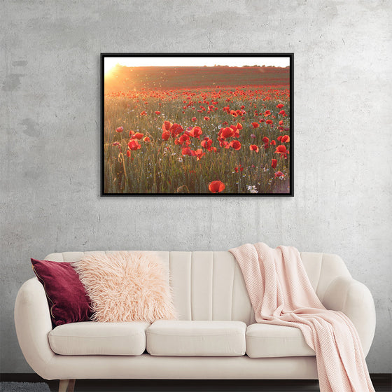 "Red Poppy Field 2"