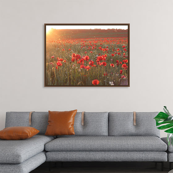 "Red Poppy Field 2"