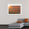 "Red Poppy Field 2"