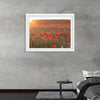 "Red Poppy Field 2"