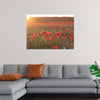 "Red Poppy Field 2"