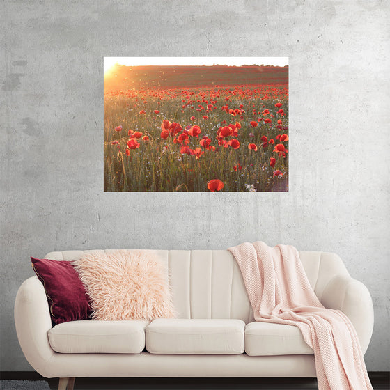 "Red Poppy Field 2"