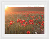 "Red Poppy Field 2"