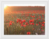 "Red Poppy Field 2"