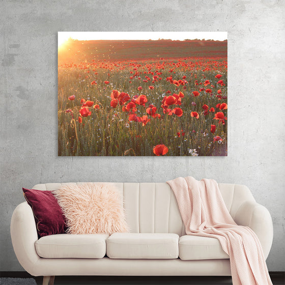 "Red Poppy Field 2"