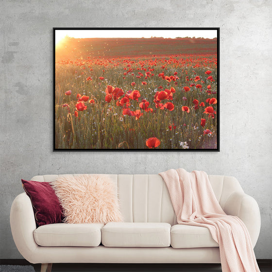 "Red Poppy Field 2"