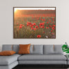 "Red Poppy Field 2"