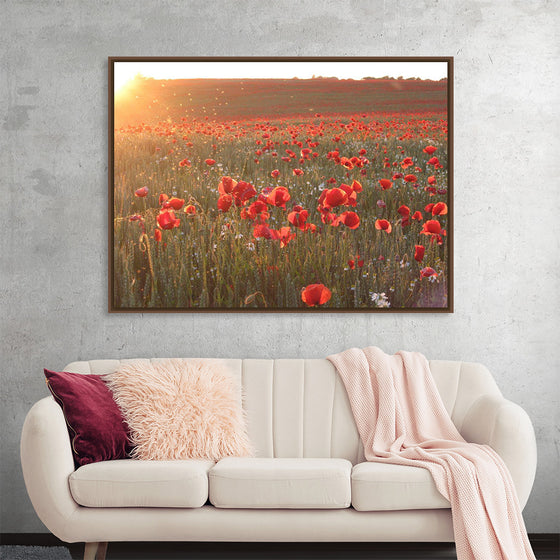 "Red Poppy Field 2"