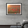 "Red Poppy Field 2"