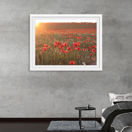 "Red Poppy Field 2"