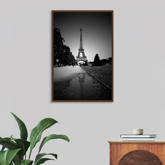 "The Eiffel Tower in Black and White"