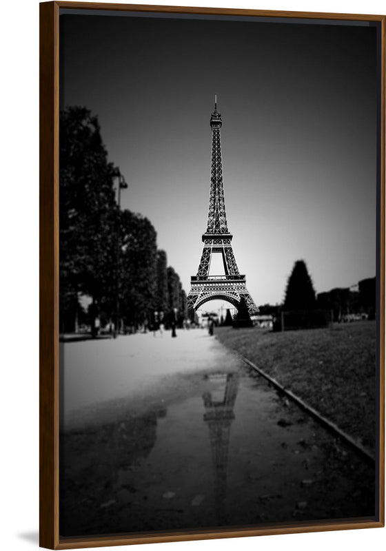 "The Eiffel Tower in Black and White"