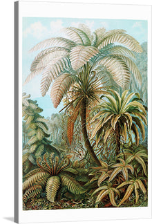  Immerse yourself in the lush, verdant world of this exquisite print, where intricate details and rich hues bring to life a serene forest of palm trees. Every leaf is rendered with meticulous care, inviting viewers to step into a tranquil sanctuary of nature’s elegance. The artwork captures the ethereal beauty of the natural world, making it a perfect piece to bring a touch of serene elegance to any space.