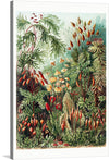 Immerse yourself in the enchanting world of nature with this exquisite print. Every detail, from the delicate ferns to the vibrant flowering plants, is a testament to the beauty that lies in our natural world. This artwork, rich in color and complexity, invites viewers into a serene yet wild garden of earthly delights. 