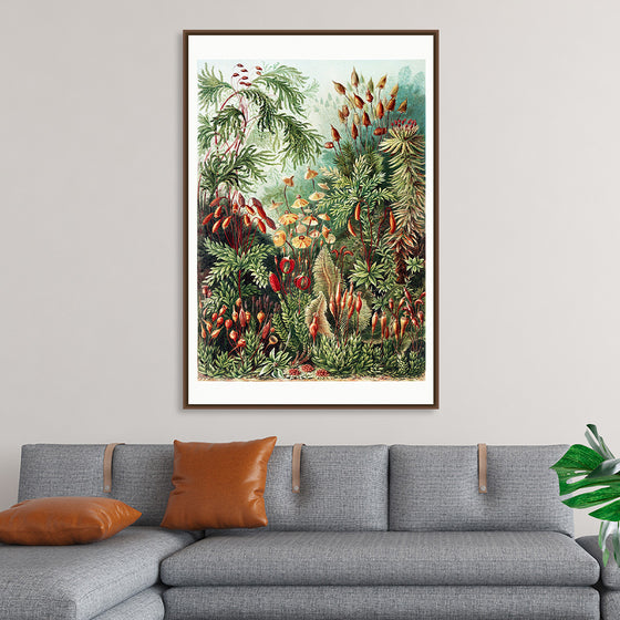 "Jungle Wilderness"