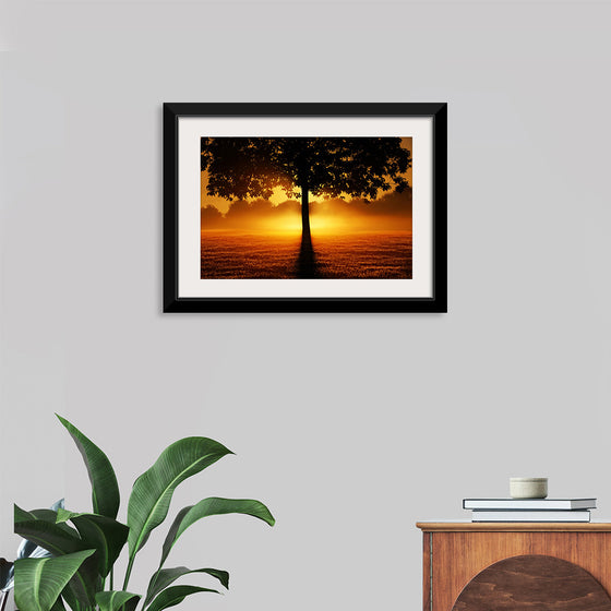 "Sunrise Tree Silhouette Nature"