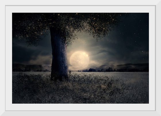 "Night Landscape"