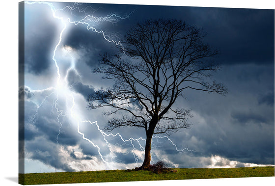 Unleash the power of nature with this captivating artwork, now available as a premium print. The piece features a lone tree, stripped of its foliage, standing resilient against a backdrop of tumultuous skies. The stark contrast between the dark storm clouds and the illuminating strikes of lightning encapsulates a dance between darkness and light. Every bolt intricately captured illuminates the sky, casting an ethereal glow that highlights the tree’s intricate branches. 