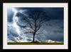 "Tree And Storm 2"