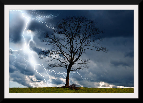 "Tree And Storm 2"