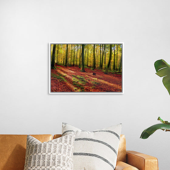 "Forest of Trees in Autumn"