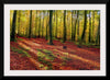 "Forest of Trees in Autumn"