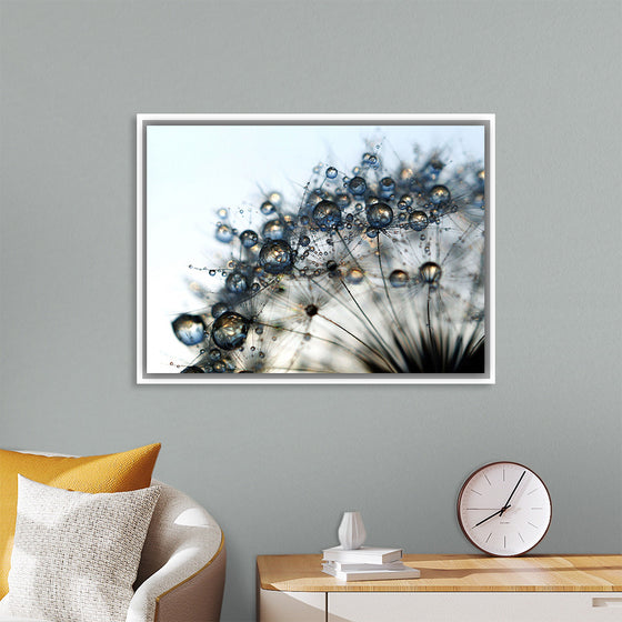 "Close Up of a Dewy Dandelion"