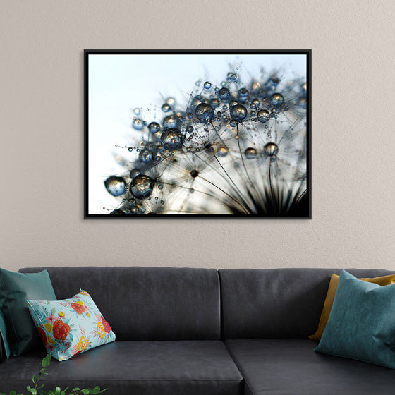 "Close Up of a Dewy Dandelion"