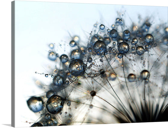 This stunning print captures the beauty of nature in a single dandelion. The water droplets on the delicate petals add a touch of magic to the already enchanting flower. The intricate details of the dandelion are brought to life in this macro shot, making it a perfect addition to any home or office. Hang it on your wall and let the beauty of nature inspire you every day.