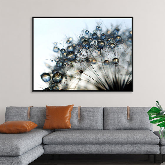 "Close Up of a Dewy Dandelion"