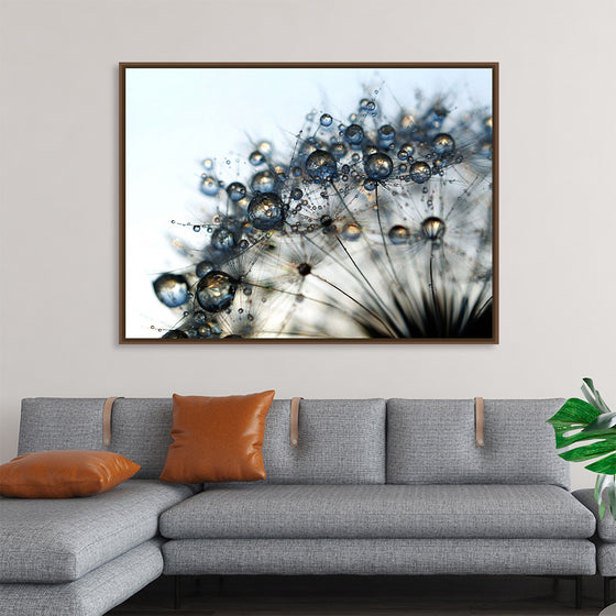 "Close Up of a Dewy Dandelion"