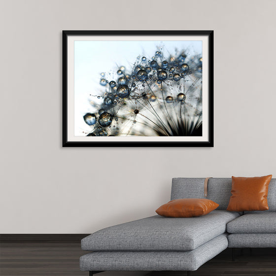 "Close Up of a Dewy Dandelion"