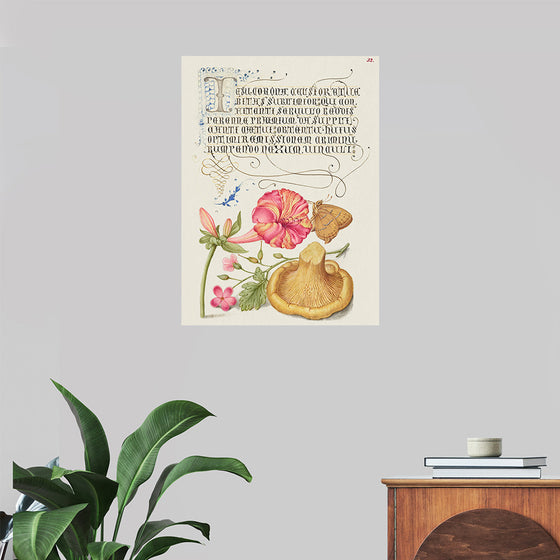 "Vintage Art Calligraphy Flowers", Georg Bocskay and Joris Hoefnagel