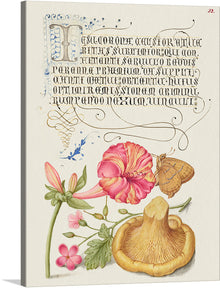  Immerse yourself in the enchanting world of this exquisite artwork, now available as a limited edition print. Every detail, from the meticulously illustrated blossoming flowers to the delicate butterfly, is a testament to the artist’s mastery and attention to detail. The elegant calligraphy adds an element of historical richness, making this piece not just a visual spectacle but also a journey through time.