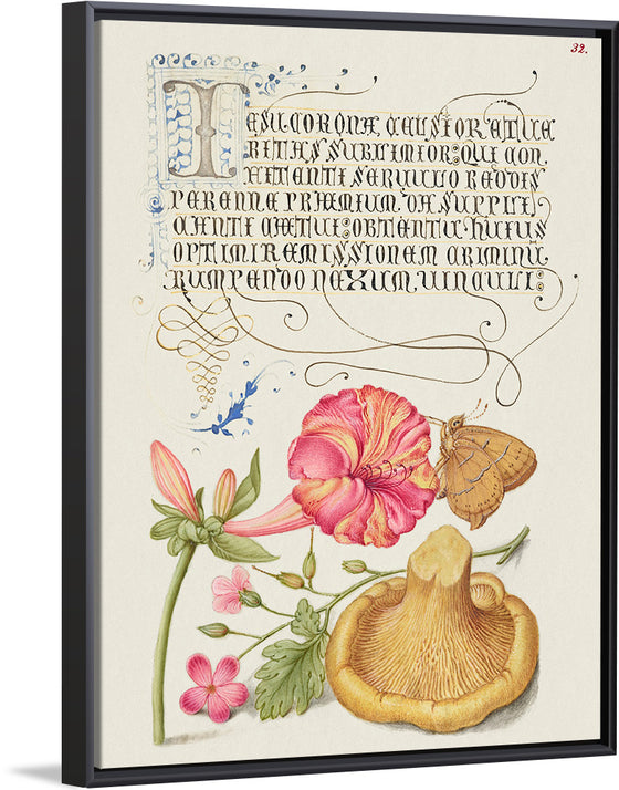 "Vintage Art Calligraphy Flowers", Georg Bocskay and Joris Hoefnagel