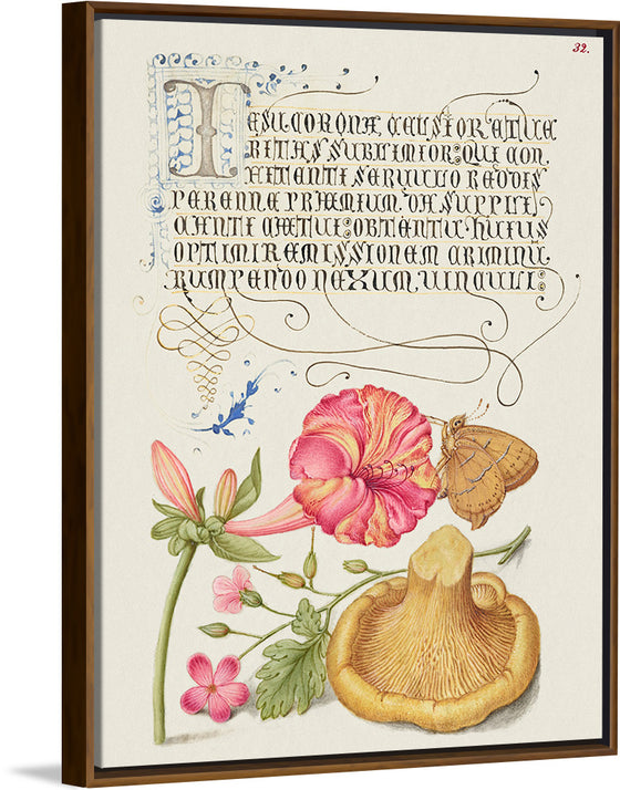 "Vintage Art Calligraphy Flowers", Georg Bocskay and Joris Hoefnagel