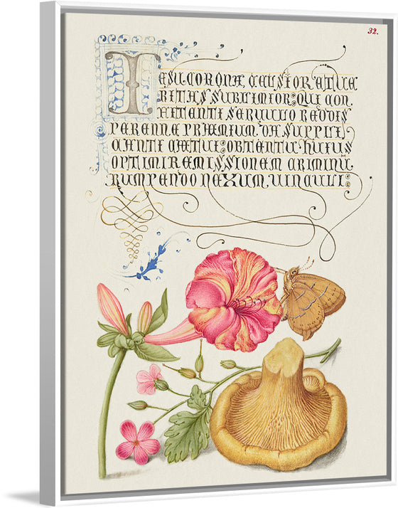 "Vintage Art Calligraphy Flowers", Georg Bocskay and Joris Hoefnagel