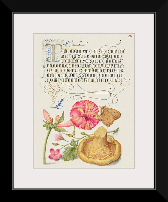 "Vintage Art Calligraphy Flowers", Georg Bocskay and Joris Hoefnagel