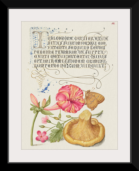 "Vintage Art Calligraphy Flowers", Georg Bocskay and Joris Hoefnagel