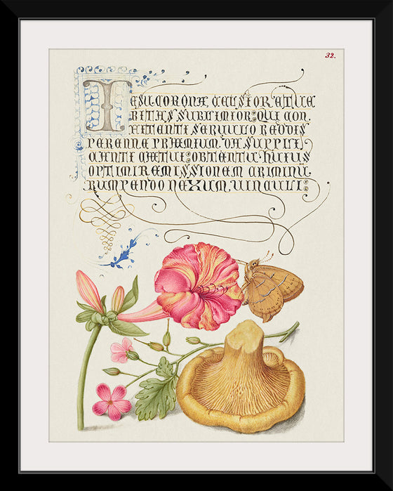 "Vintage Art Calligraphy Flowers", Georg Bocskay and Joris Hoefnagel