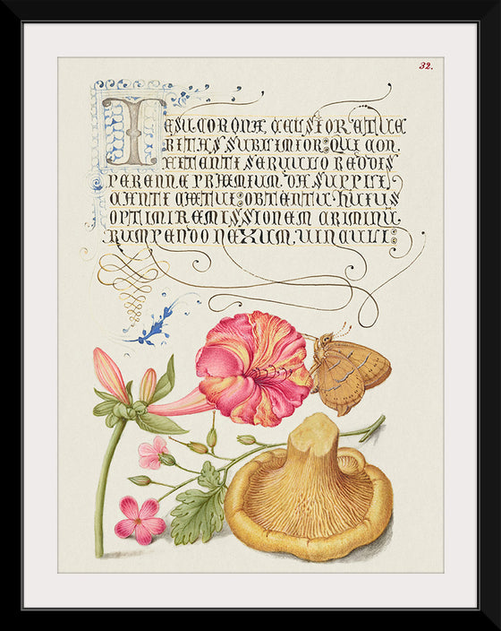 "Vintage Art Calligraphy Flowers", Georg Bocskay and Joris Hoefnagel